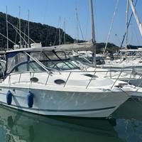 Wellcraft marine 290 coastal fisherman