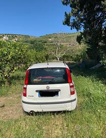 Fiat Panda 1.3 multi jet diesel