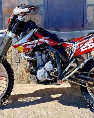 TELAIO TARGATO GAS GAS FSE 450 2007 2008 2009