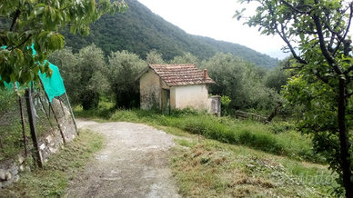 Civile abitazione in LIGURIA Chiusanico (IM)