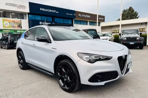 Alfa Romeo Stelvio 2.0 Turbo 280 CV AT8 Q4 Competi
