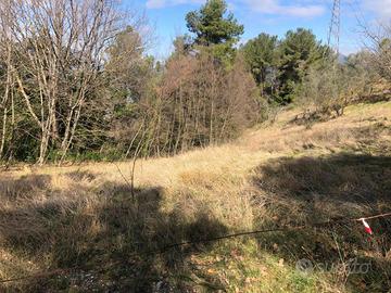 Terreno Agricolo Terni [Cod. rif 3134429VCG]