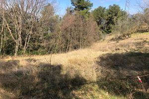 Terreno Agricolo Terni [Cod. rif 3134429VCG]