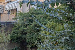 Appartamento Voghera [A4346689]