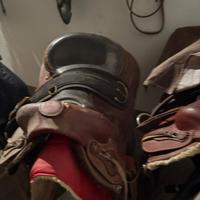 Sella americana cavallo