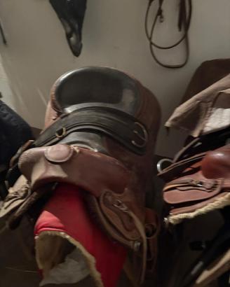 Sella americana cavallo