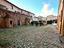 Immagine 7