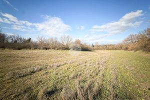 TER. AGRICOLO A NEPI