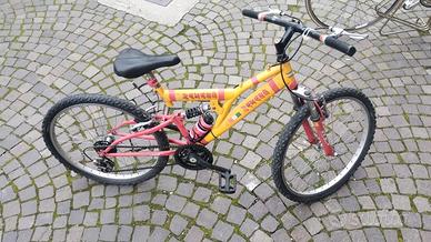 bicicletta per ragazzi 