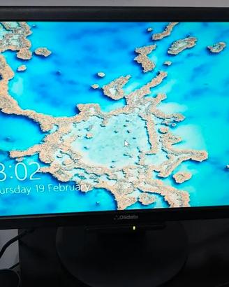 Monitor Olidata 19” LCD 1280x1024 – VGA – perfetta