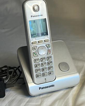Telefono Cordless Panasonic KX-TG6711JTS Silver