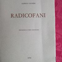 Radicofani - Alberto Luchini