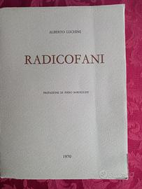 Radicofani - Alberto Luchini