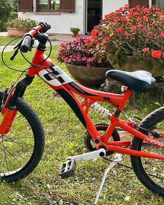 Bicicletta bambino