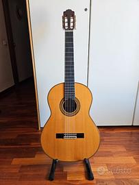 Chitarra classica Paulino Bernabé M5 (2012)