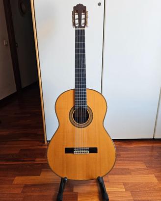 Chitarra classica Paulino Bernabé M5 (2012)