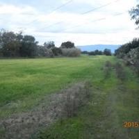 Terreno agric. Di 1.21.00 Ha San Nicolo D'arcidano