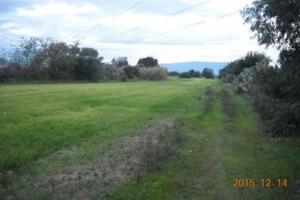 Terreno agric. Di 1.21.00 Ha San Nicolo D'arcidano