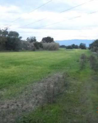 Terreno agric. Di 1.21.00 Ha San Nicolo D'arcidano