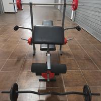 panca weider 2 bilancieri e 60 kg pesi ghisa