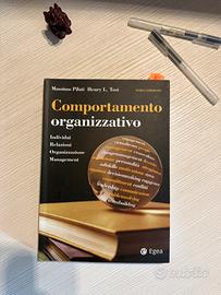 Comportamento organizzativo