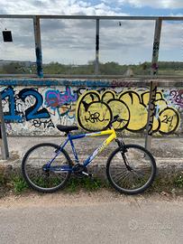 Mountain Bike Frejus 26" – Bici usata / Da città