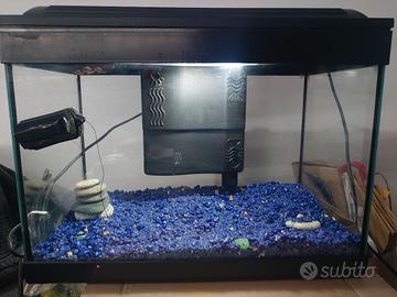 acquario completo