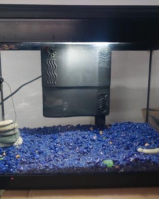 acquario completo