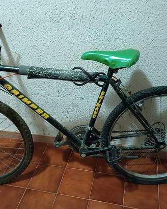 bicicletta 