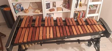 Xilofono Adams Solist xsf2hr35 Honduras rosewood