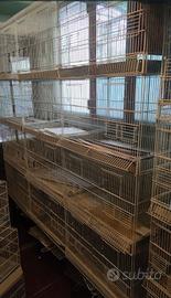 batterie di gabbie borgovit