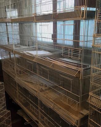 batterie di gabbie borgovit