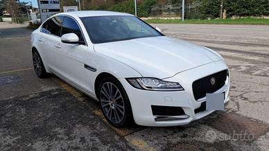 jaguard xf berlina