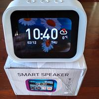 Smart Speaker