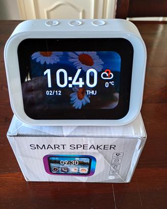 Smart Speaker