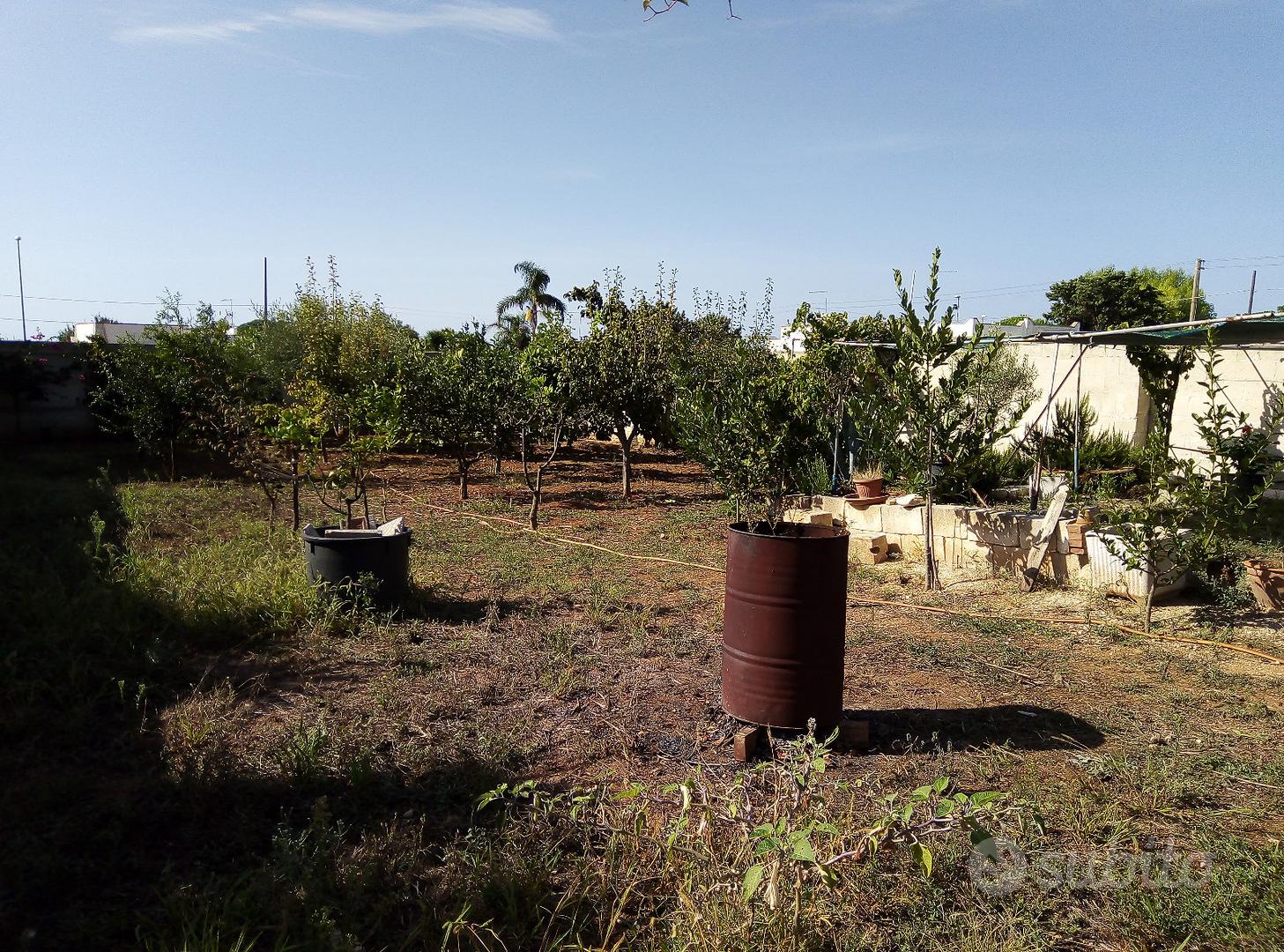 Terreno posizionato tra le abitazioni - Vista 4