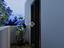 Immagine 19
