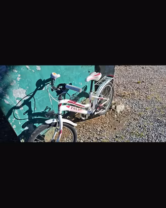bici da bimba misura del 20