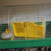gabbiette per criceti