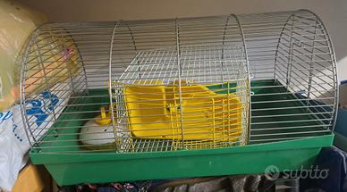 gabbiette per criceti