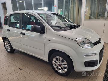 Fiat Panda 1.2 Young PREZZO REALE!!