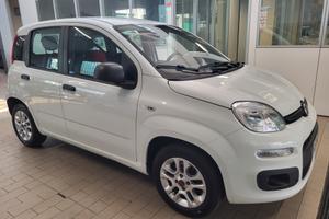 Fiat Panda 1.2 Young PREZZO REALE!!