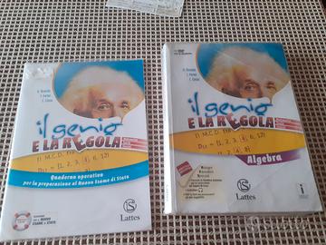 Il genio e la regola (algebra)