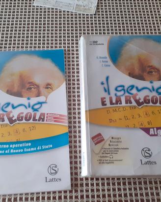 Il genio e la regola (algebra)