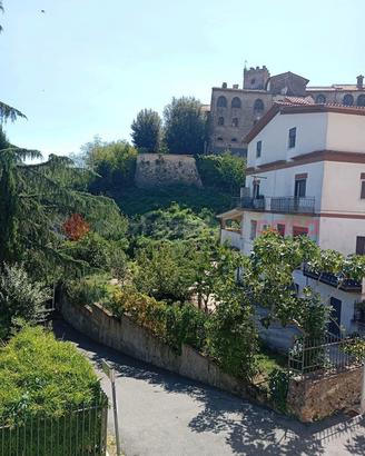 Appartamento Roccagiovine [Cod. rif 3261393VRG]