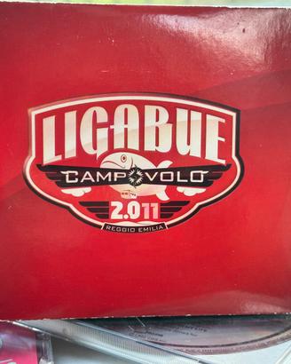 Ligabue campo volo