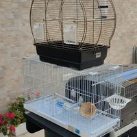 gabbia uccellini