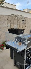 gabbia uccellini