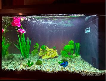 ACQUARIO 104 LITRI