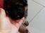 Immagine 2